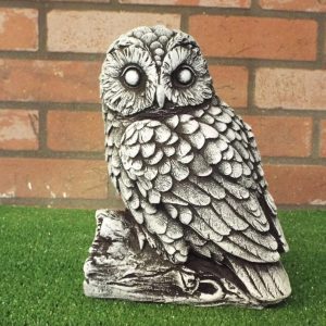 Owl on a log black