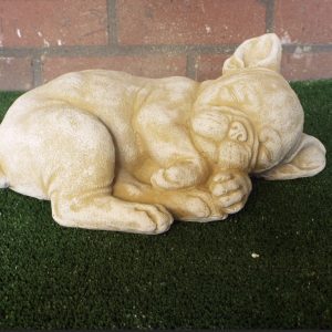 Sleeping frenchie