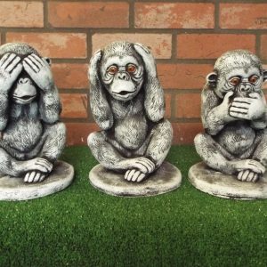 Wise chimps