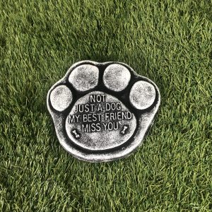 Dog paw