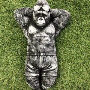 Sunbathing gorilla Adam