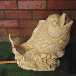Fish water Feature