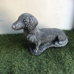 Sausage dog