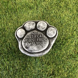 Cat paw