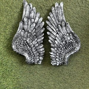 Set of wings