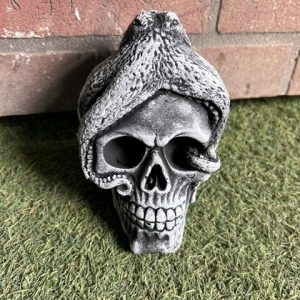 skull octopus